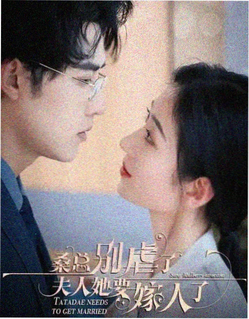 旧公寓的四季经典日剧海报